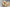 Vintage Bloom Couple Pack